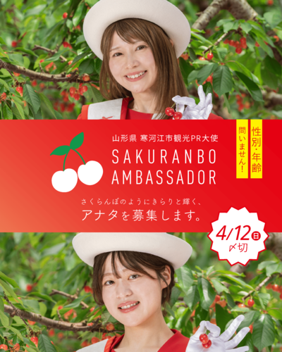 さくらんぼアンバサダー募集