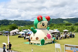 チェリンエアドームの写真