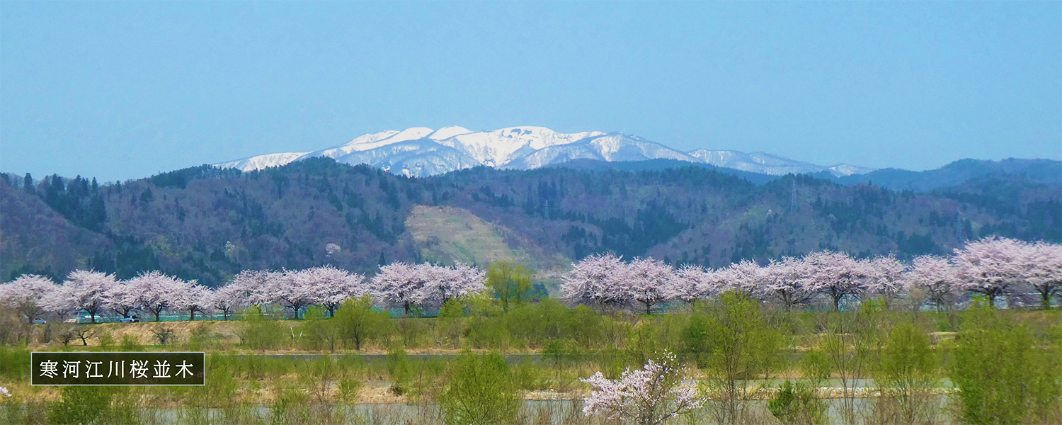 2番目の画像