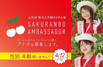さくらんぼアンバサダー募集の画像