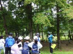 森林学習の様子