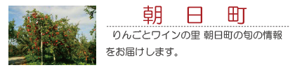 朝日町観光ポータルサイト