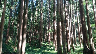 過去に行われた修験の道ウォーキング