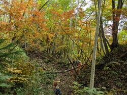 過去に行われた修験の道ウォーキング