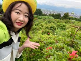 私とツツジと寒河江の街