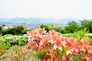 寒河江を見下ろすオレンジの星々
