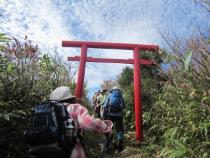 奥の院の鳥居