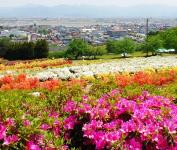 寒河江公園つつじ園