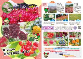 パンフレット寒河江の花・くだもののページ画像