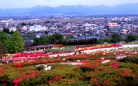 寒河江公園