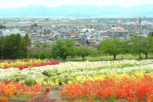 寒河江公園 寒河江市公式サイト