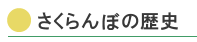 さくらんぼの歴史