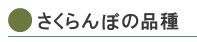 さくらんぼの品種