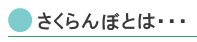 さくらんぼとは