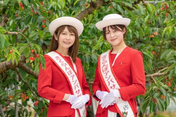 初代さくらんぼアンバサダー