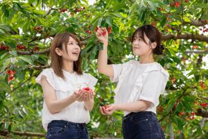 初代さくらんぼアンバサダー