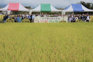 つや姫ヴィラージュ稲刈り杭掛け交流会2
