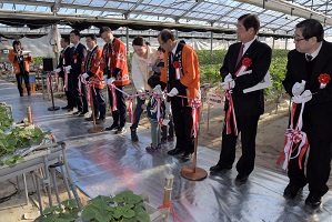 観光いちご園の画像1