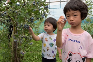 ブルーベリー園開園式に参加した子どもの画像